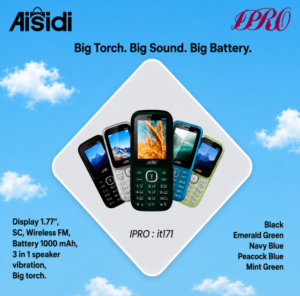 IPRO it171