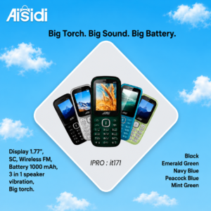 IPRO it171